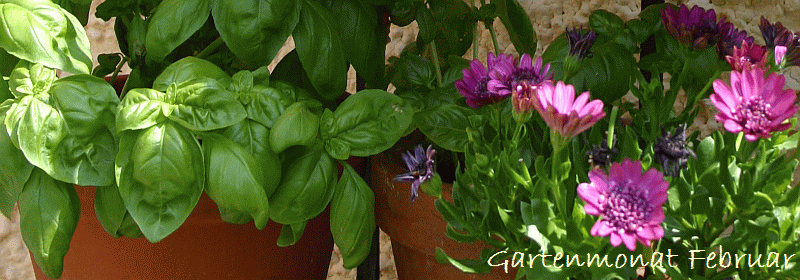 Gartenmonat Februar
