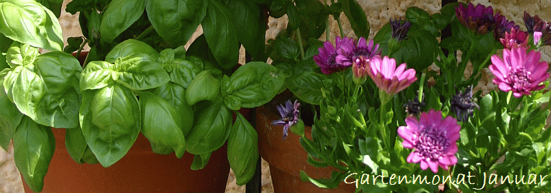 Gartenmonat Januar