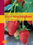 Kleine Obstgehoelze in T�pfen und Kuebeln - klick hier